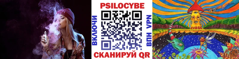 Псилоцибиновые грибы MAGIC MUSHROOMS как найти закладки Черногорск