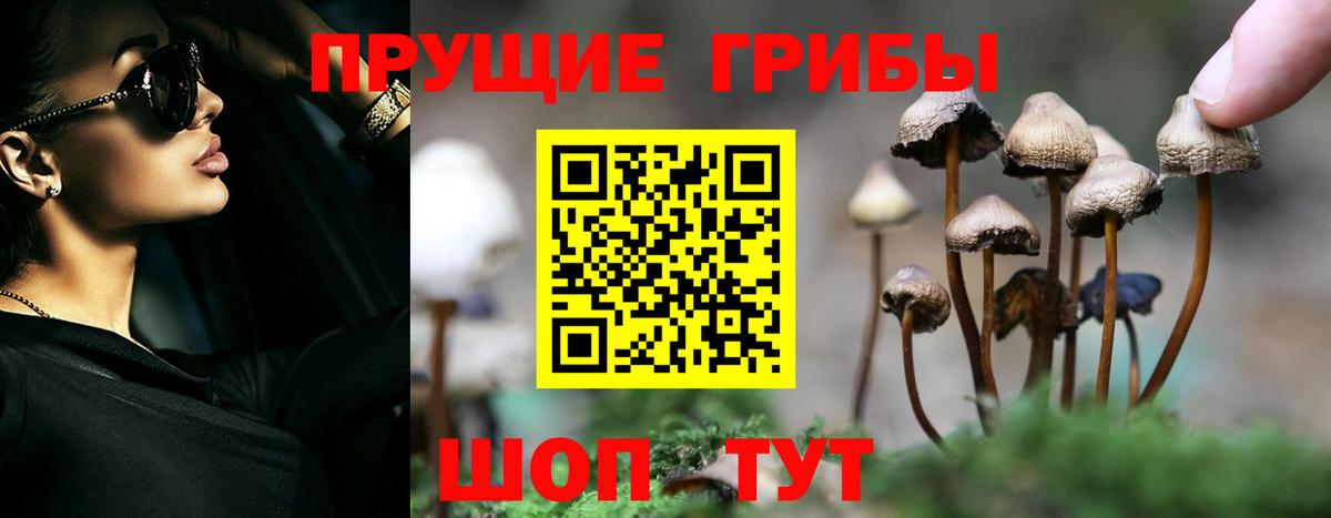 Псилоцибиновые грибы Magic Shrooms  Галлюциногенные грибы Psilocybe  Вход с VPN  Черногорск 